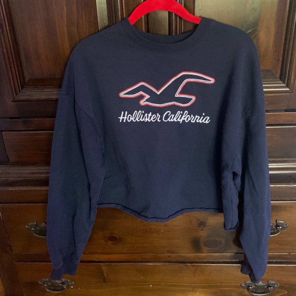 Hollister sweatshirt
